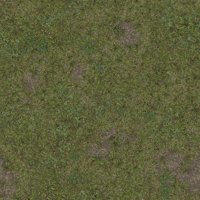 Asset preview